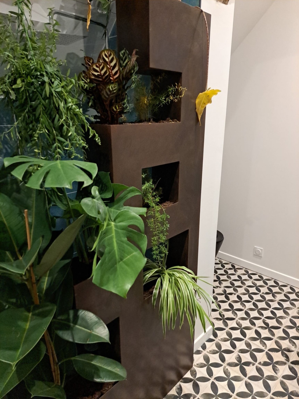 Paroi intérieure en acier Corten intégrant des plantes